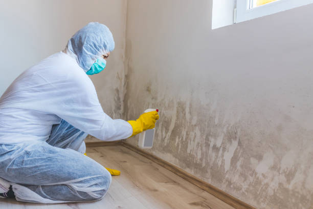 Hvac And Air Duct Mold Remediation inspection of HVAC system in Roseland