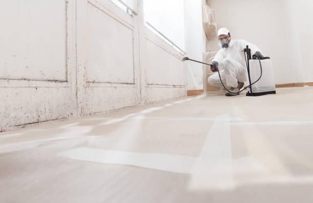 Black mold remediation team in Roseland